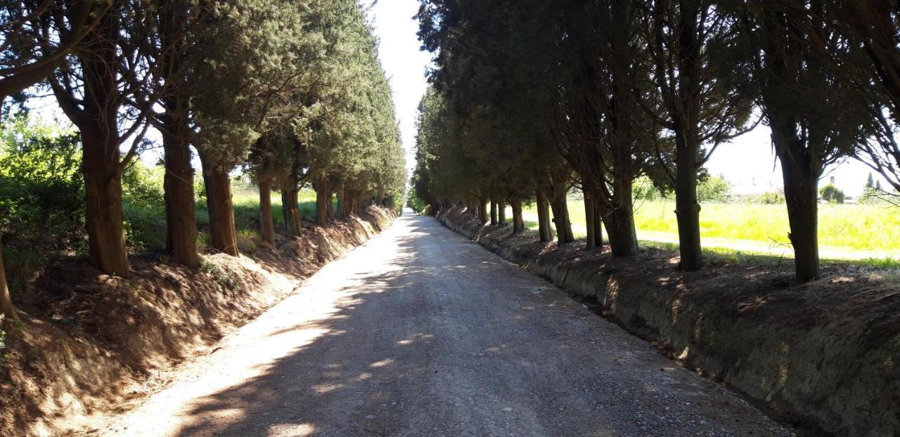 Apartament La Casa Della Pieve Vecchia Marmigliaio Zewnętrze zdjęcie