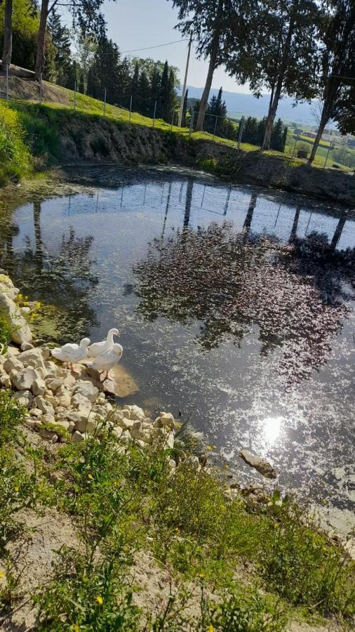 Apartament La Casa Della Pieve Vecchia Marmigliaio Zewnętrze zdjęcie